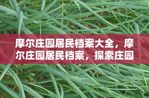 摩尔庄园居民档案大全，摩尔庄园居民档案，探索庄园的奇妙世界