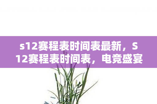s12赛程表时间表最新,S12赛程表时间表,电竞盛宴的逐梦之旅 s12赛程表时间表最新,S12赛程表时间表,电竞盛宴的逐梦之旅