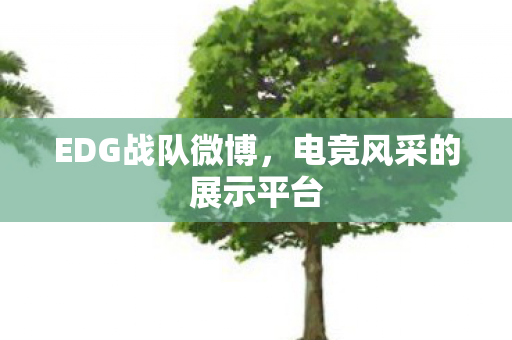 EDG战队微博，电竞风采的展示平台