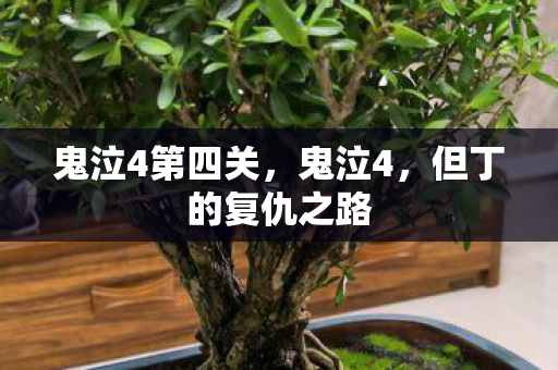 鬼泣4第四关,鬼泣4,但丁的复仇之路 鬼泣4第四关,鬼泣4,但丁的复仇之路