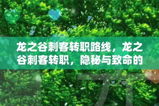龙之谷刺客转职路线,龙之谷刺客转职,隐秘与致命的艺术 龙之谷刺客转职路线,龙之谷刺客转职,隐秘与致命的艺术