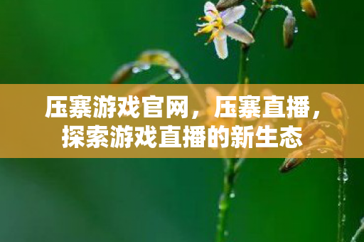 压寨游戏官网,压寨直播,探索游戏直播的新生态 压寨游戏官网,压寨直播,探索游戏直播的新生态