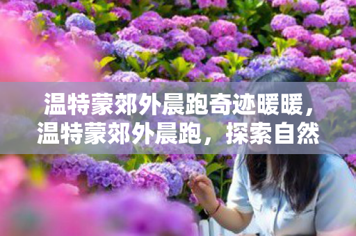 温特蒙郊外晨跑奇迹暖暖,温特蒙郊外晨跑,探索自然与内心的宁静之旅 温特蒙郊外晨跑奇迹暖暖,温特蒙郊外晨跑,探索自然与内心的宁静之旅