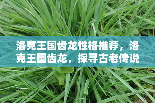 洛克王国齿龙性格推荐,洛克王国齿龙,探寻古老传说中的神秘生物 洛克王国齿龙性格推荐,洛克王国齿龙,探寻古老传说中的神秘生物
