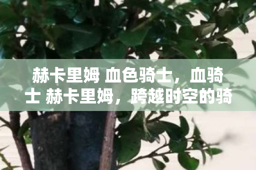 赫卡里姆 血色骑士,血骑士 赫卡里姆,跨越时空的骑乘传说 赫卡里姆 血色骑士,血骑士 赫卡里姆,跨越时空的骑乘传说