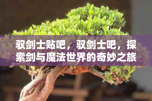 驭剑士贴吧，驭剑士吧，探索剑与魔法世界的奇妙之旅