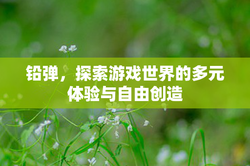 铅弹,探索游戏世界的多元体验与自由创造 铅弹,探索游戏世界的多元体验与自由创造