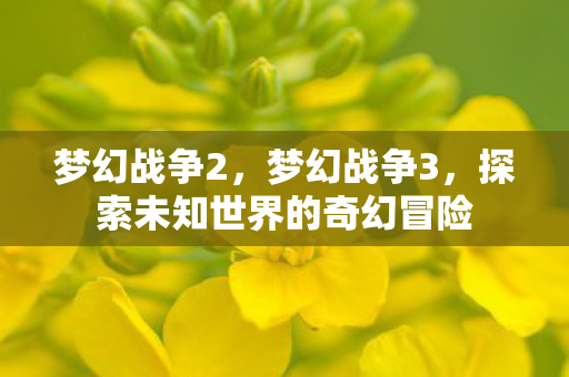 梦幻战争2,梦幻战争3,探索未知世界的奇幻冒险 梦幻战争2,梦幻战争3,探索未知世界的奇幻冒险