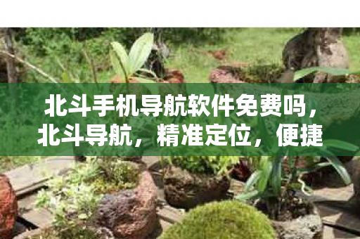北斗手机导航软件免费吗,北斗导航,精准定位,便捷出行 北斗手机导航软件免费吗,北斗导航,精准定位,便捷出行