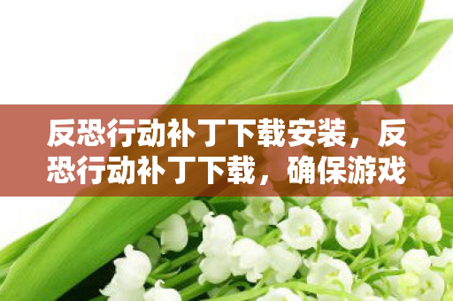 反恐行动补丁下载安装,反恐行动补丁下载,确保游戏体验与安全 反恐行动补丁下载安装,反恐行动补丁下载,确保游戏体验与安全