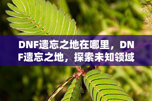 DNF遗忘之地在哪里,DNF遗忘之地,探索未知领域的神秘之旅 DNF遗忘之地在哪里,DNF遗忘之地,探索未知领域的神秘之旅