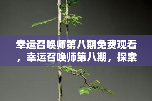 幸运召唤师第八期免费观看,幸运召唤师第八期,探索未知,挑战极限 幸运召唤师第八期免费观看,幸运召唤师第八期,探索未知,挑战极限