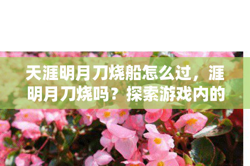天涯明月刀烧船怎么过,涯明月刀烧吗?探索游戏内的经济系统与玩家互动 天涯明月刀烧船怎么过,涯明月刀烧吗?探索游戏内的经济系统与玩家互动