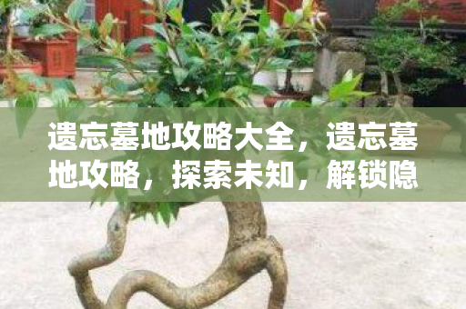 遗忘墓地攻略大全,遗忘墓地攻略,探索未知,解锁隐藏宝藏 遗忘墓地攻略大全,遗忘墓地攻略,探索未知,解锁隐藏宝藏