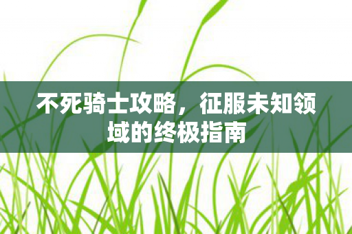不死骑士攻略,征服未知领域的终极指南 不死骑士攻略,征服未知领域的终极指南