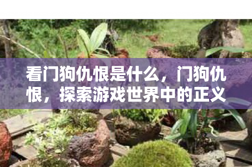 看门狗仇恨是什么,门狗仇恨,探索游戏世界中的正义与秩序 看门狗仇恨是什么,门狗仇恨,探索游戏世界中的正义与秩序