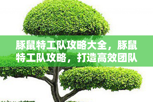 豚鼠特工队攻略大全，豚鼠特工队攻略，打造高效团队的策略与技巧