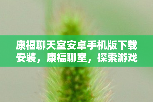 康福聊天室安卓手机版下载安装,康福聊室,探索游戏世界的多元体验 康福聊天室安卓手机版下载安装,康福聊室,探索游戏世界的多元体验
