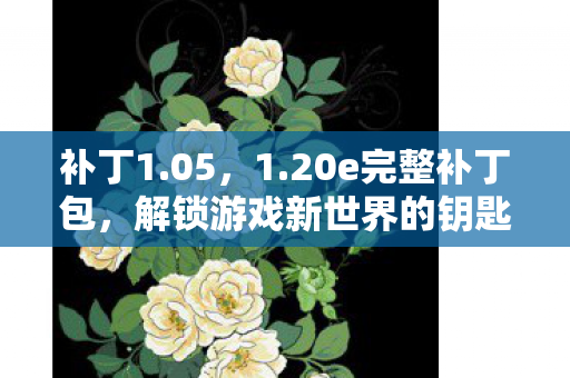 补丁1.05,1.20e完整补丁包,解锁游戏新世界的钥匙 补丁1.05,1.20e完整补丁包,解锁游戏新世界的钥匙