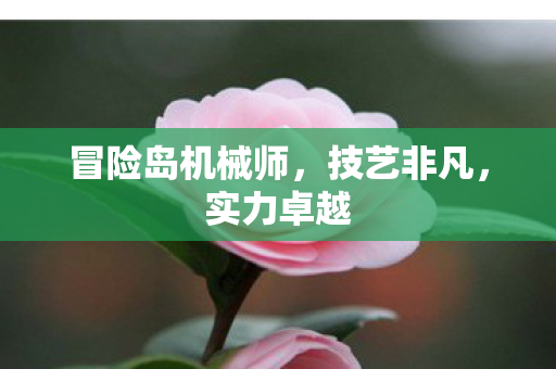 冒险岛机械师，技艺非凡，实力卓越