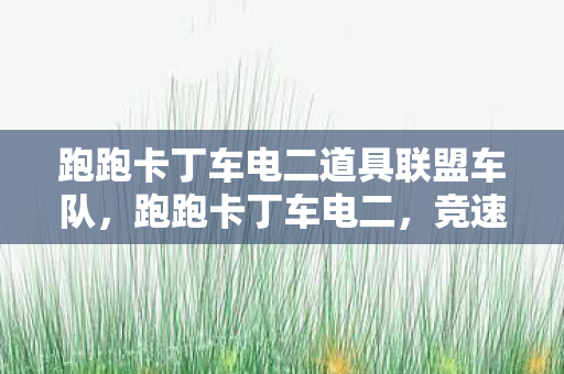 跑跑卡丁车电二道具联盟车队,跑跑卡丁车电二,竞速激情与社区文化的碰撞 跑跑卡丁车电二道具联盟车队,跑跑卡丁车电二,竞速激情与社区文化的碰撞