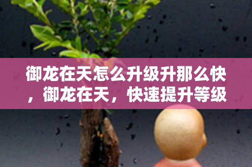 御龙在天怎么升级升那么快,御龙在天,快速提升等级攻略 御龙在天怎么升级升那么快,御龙在天,快速提升等级攻略