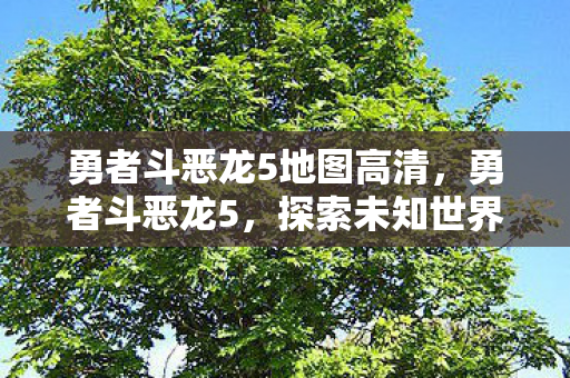 勇者斗恶龙5地图高清,勇者斗恶龙5,探索未知世界的奇幻之旅 勇者斗恶龙5地图高清,勇者斗恶龙5,探索未知世界的奇幻之旅