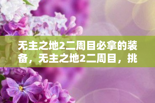 无主之地2二周目必拿的装备,无主之地2二周目,挑战与探索的新篇章 无主之地2二周目必拿的装备,无主之地2二周目,挑战与探索的新篇章