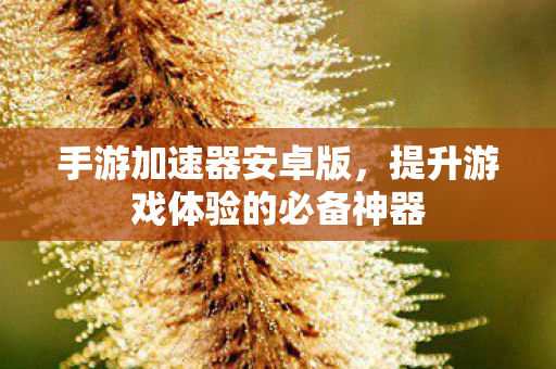 手游加速器安卓版,提升游戏体验的必备神器 手游加速器安卓版,提升游戏体验的必备神器