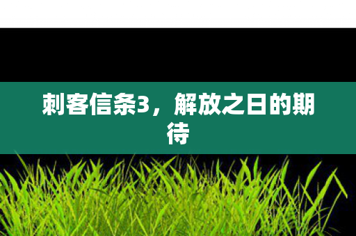 刺客信条3,解放之日的期待 刺客信条3,解放之日的期待