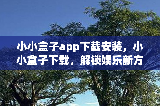 小小盒子app下载安装,小小盒子下载,解锁娱乐新方式的便捷工具 小小盒子app下载安装,小小盒子下载,解锁娱乐新方式的便捷工具