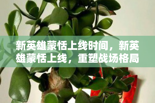 新英雄蒙恬上线时间,新英雄蒙恬上线,重塑战场格局的强力支援 新英雄蒙恬上线时间,新英雄蒙恬上线,重塑战场格局的强力支援