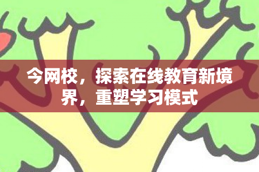 今网校,探索在线教育新境界,重塑学习模式 今网校,探索在线教育新境界,重塑学习模式