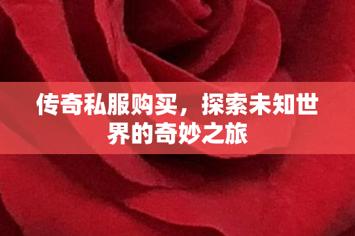传奇私服购买,探索未知世界的奇妙之旅 传奇私服购买,探索未知世界的奇妙之旅