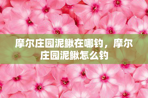 摩尔庄园泥鳅在哪钓,摩尔庄园泥鳅怎么钓 摩尔庄园泥鳅在哪钓,摩尔庄园泥鳅怎么钓