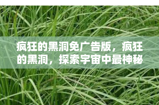 疯狂的黑洞免广告版,疯狂的黑洞,探索宇宙中最神秘的存在 疯狂的黑洞免广告版,疯狂的黑洞,探索宇宙中最神秘的存在