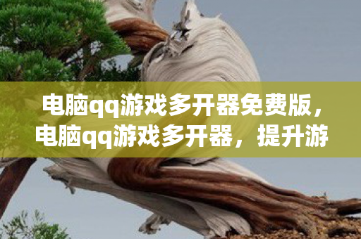 电脑qq游戏多开器免费版,电脑qq游戏多开器,提升游戏效率的神器 电脑qq游戏多开器免费版,电脑qq游戏多开器,提升游戏效率的神器