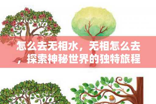 怎么去无相水,无相怎么去,探索神秘世界的独特旅程 怎么去无相水,无相怎么去,探索神秘世界的独特旅程