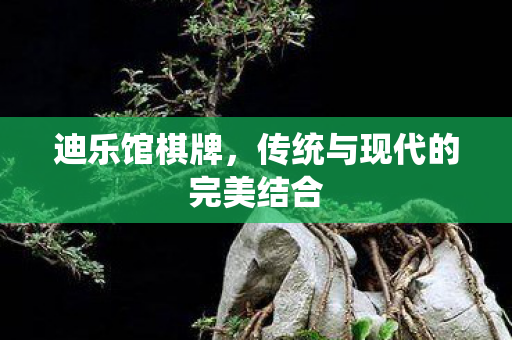 迪乐馆棋牌,传统与现代的完美结合 迪乐馆棋牌,传统与现代的完美结合