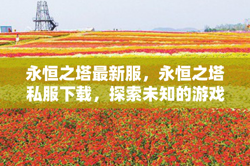 永恒之塔最新服,永恒之塔私服下载,探索未知的游戏世界 永恒之塔最新服,永恒之塔私服下载,探索未知的游戏世界