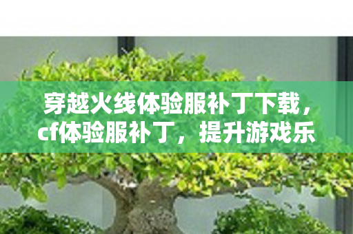 穿越火线体验服补丁下载，cf体验服补丁，提升游戏乐趣，优化游戏体验
