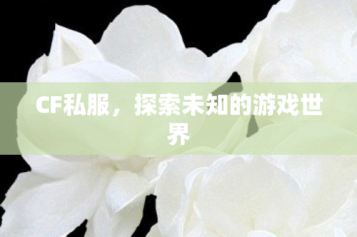 CF私服,探索未知的游戏世界 CF私服,探索未知的游戏世界