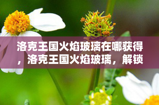 洛克王国火焰玻璃在哪获得，洛克王国火焰玻璃，解锁王国中的神秘宝藏