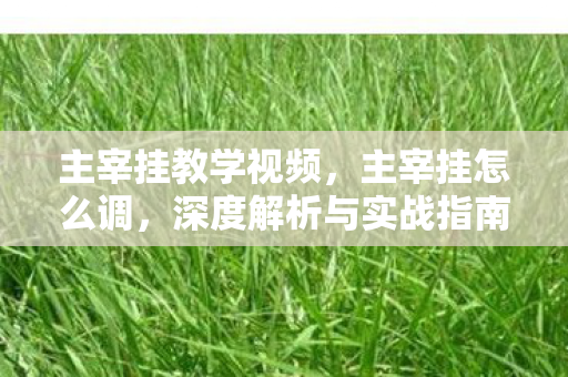 主宰挂教学视频,主宰挂怎么调,深度解析与实战指南 主宰挂教学视频,主宰挂怎么调,深度解析与实战指南