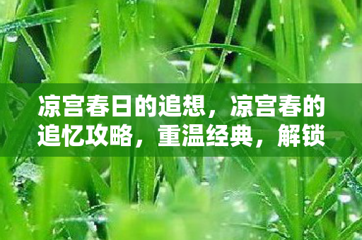 凉宫春日的追想,凉宫春的追忆攻略,重温经典,解锁隐藏剧情 凉宫春日的追想,凉宫春的追忆攻略,重温经典,解锁隐藏剧情