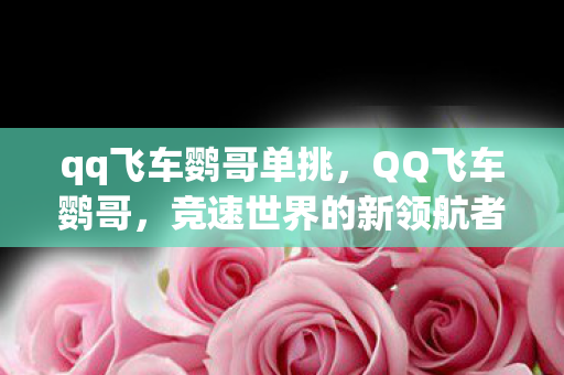 qq飞车鹦哥单挑，QQ飞车鹦哥，竞速世界的新领航者