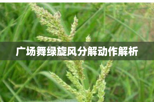 广场舞绿旋风分解动作解析 广场舞绿旋风分解动作解析