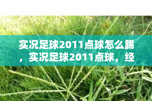 实况足球2011点球怎么踢，实况足球2011点球，经典瞬间与技巧解析