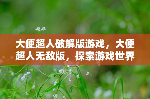 大便超人破解版游戏，大便超人无敌版，探索游戏世界的无限可能