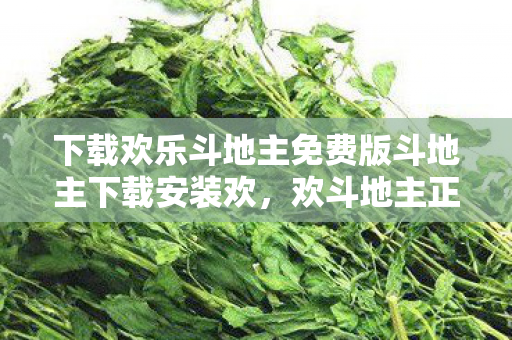 下载欢乐斗地主免费版斗地主下载安装欢,欢斗地主正版下载,体验正宗斗地主,享受游戏乐趣 下载欢乐斗地主免费版斗地主下载安装欢,欢斗地主正版下载,体验正宗斗地主,享受游戏乐趣